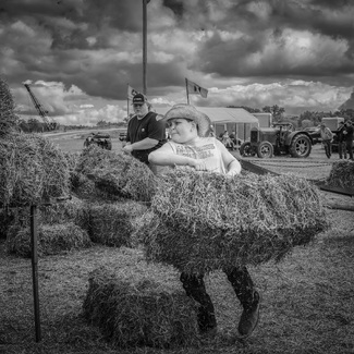 Hauling Hay Hauling Hay