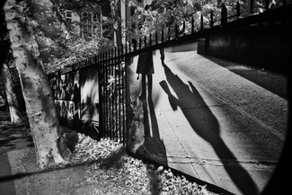 Confounded Confounded