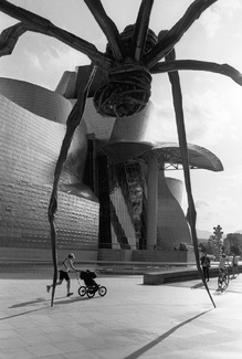 Fear Of A Spider, Guggenheim Museum, Bilbao, Spain Fear Of A Spider, Guggenheim Museum, Bilbao, Spain