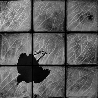 When the Bough Breaks When the Bough Breaks