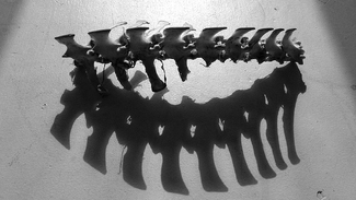 Crown of Bones Crown of Bones