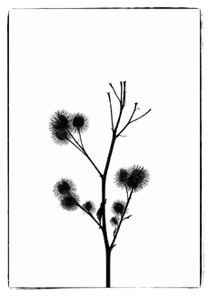 Uh-oh! Check The Dog Uh-oh! Check The Dog