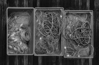 Waiting for the sea Waiting for the sea