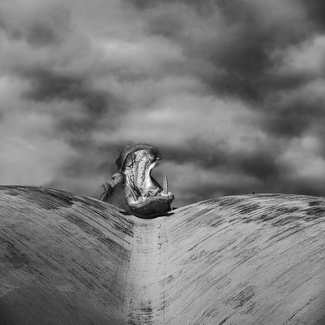 Intimidation Intimidation