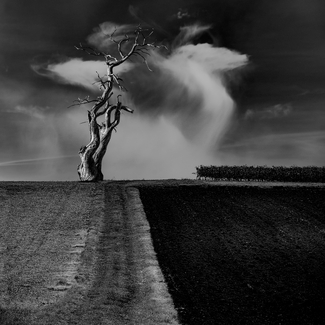 Black lands Black lands