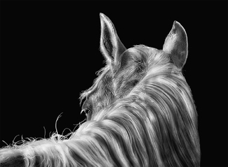 Got My Eye On You Got My Eye On You