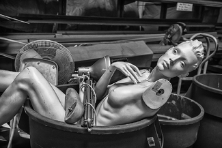 Artificial Life-forms at Continental Display Artificial Life-forms at Continental Display