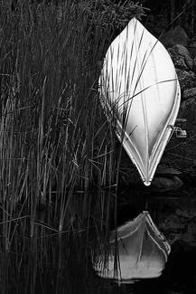 Morning Quiet Morning Quiet