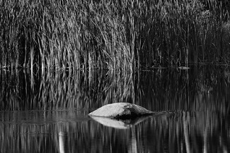 Reflections Rainbow Falls Reflections Rainbow Falls
