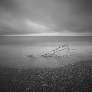 Broken Branch Broken Branch