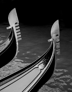 Venetian Curves Venetian Curves