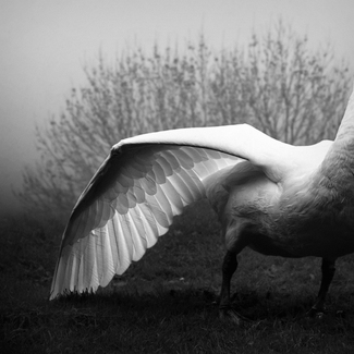 Precious Moment Precious Moment