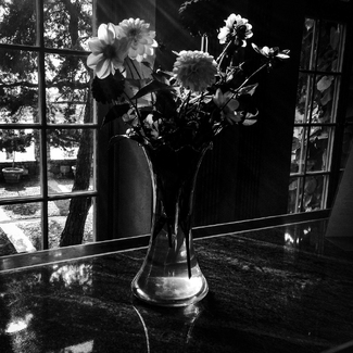 Dark Arrangement Dark Arrangement