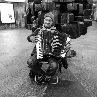 The Accordion Player The Accordion Player