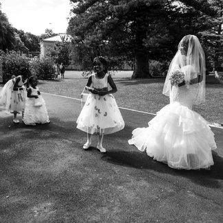 The Wedding Party The Wedding Party