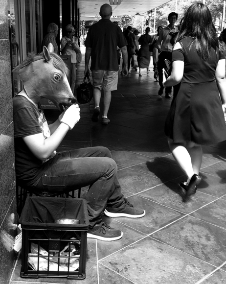 Man as a horse stops for a drink