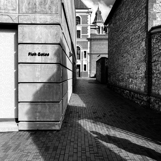 Between Walls and Shadows Between Walls and Shadows