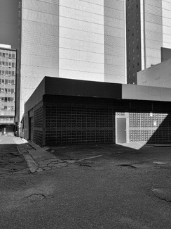 Morning Light Morning Light