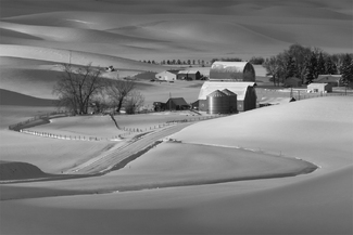 The Rooster Crowed The Rooster Crowed