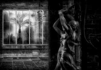 WINTER GARDEN WINTER GARDEN