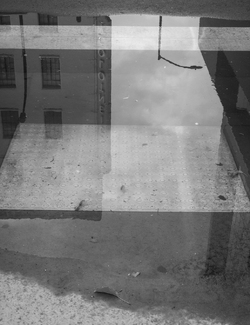 Walking, Sacramento Walking, Sacramento