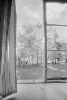 Window, Blindern, Norway Window, Blindern, Norway