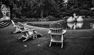 American Garden American Garden