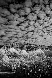 Puffy Clouds over Tucson AZ Puffy Clouds over Tucson AZ