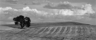 Groomed Hills Groomed Hills