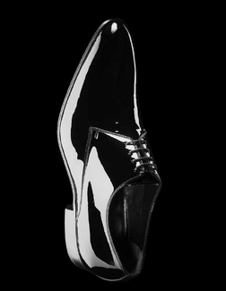 shoe shoe