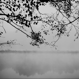 Nature's poetry Nature's poetry