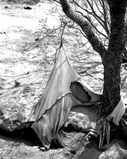 Border Crossing Border Crossing