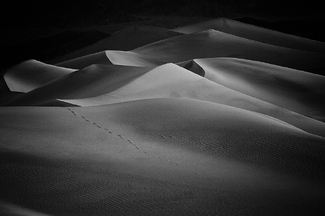 Pre-Dawn Dunes Pre-Dawn Dunes