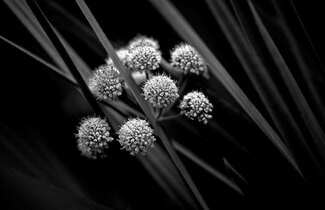 by stoe lake by stoe lake