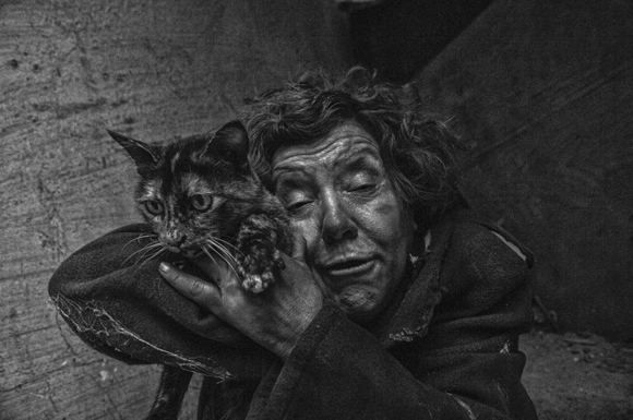 Homeless cat lover 