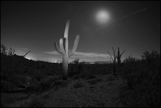 Meteor night Meteor night