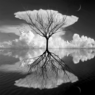 Lightly Touching Water Lightly Touching Water