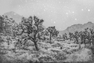 Evening Magic Evening Magic