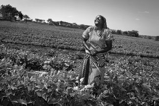 Life in the Field Life in the Field