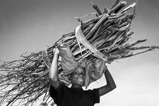 A Sky of Wood for the Fire A Sky of Wood for the Fire