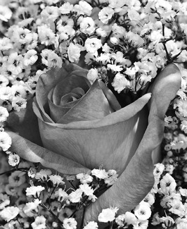 Happiness is Just a "Breath" Away Happiness is Just a "Breath" Away