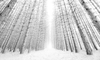 The Ancient Gates The Ancient Gates