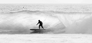 Southern Swell Southern Swell