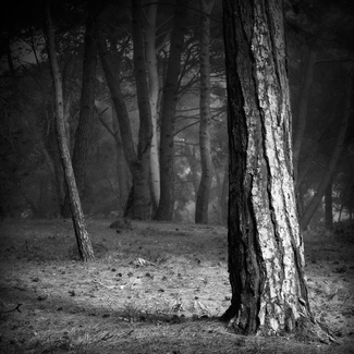 I'm one, and I'm a thousand I'm one, and I'm a thousand