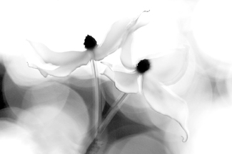 Floating Together Floating Together