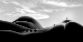 Survey Says Survey Says