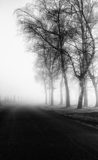 The Road to Eulenbis The Road to Eulenbis