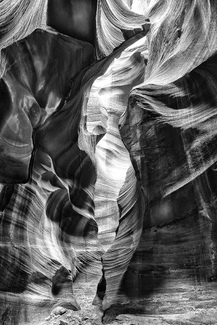 Glory in the shadows Glory in the shadows