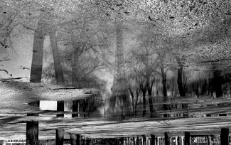 French Nursery French Nursery