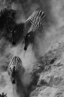 We've Got This We've Got This